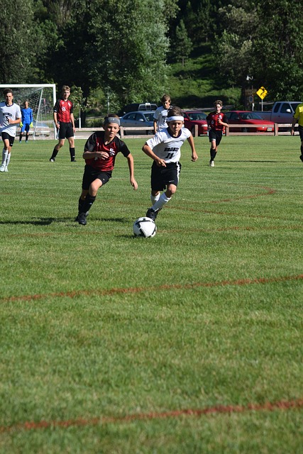 起的曙光 起的曙光