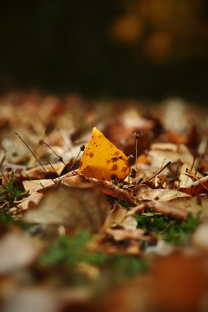 甚至可能超 甚至可能超