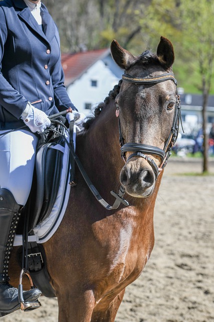 牵动着中国 牵动着中国