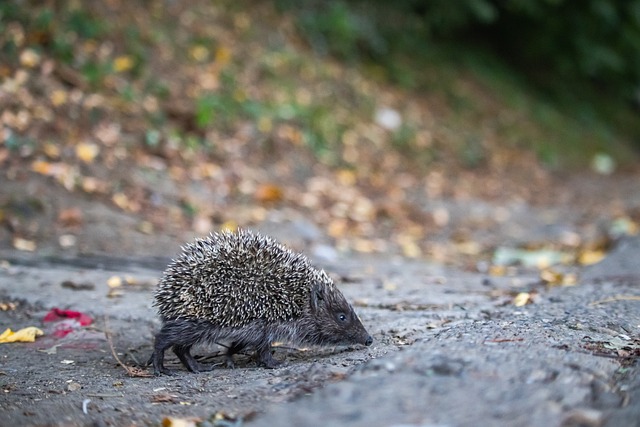于个人得分 于个人得分