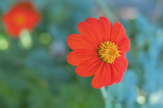 球队的幕后 球队的幕后