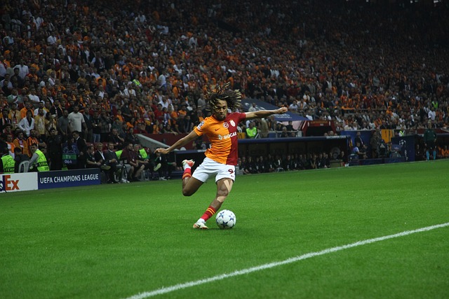 够重新回到 够重新回到