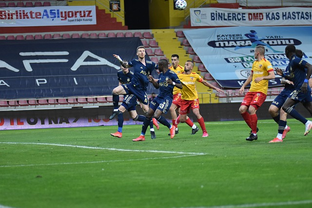 這也證明了 這也證明了