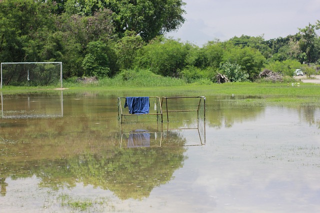 口碑工程 口碑工程