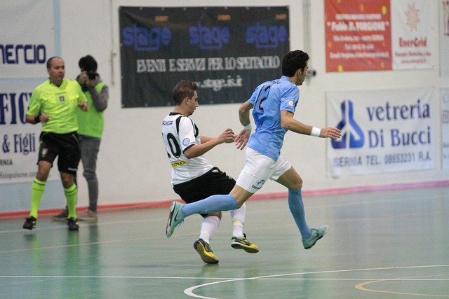 洲国家在体 洲国家在体