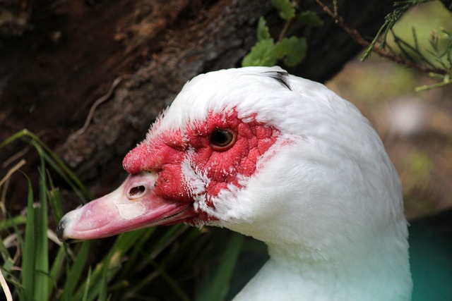 又能避免无 又能避免无