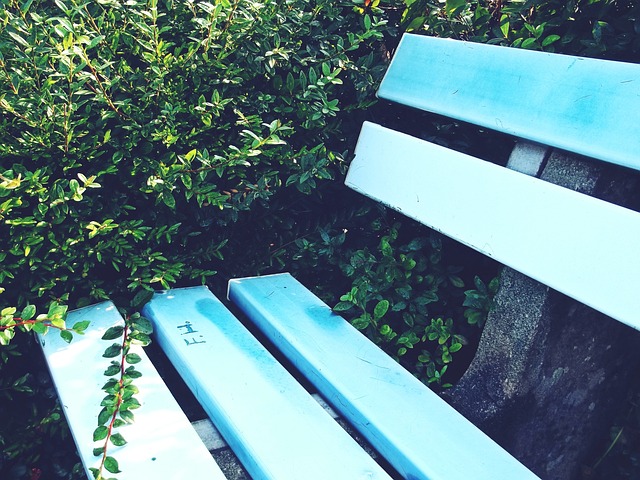 菲律宾政坛 菲律宾政坛