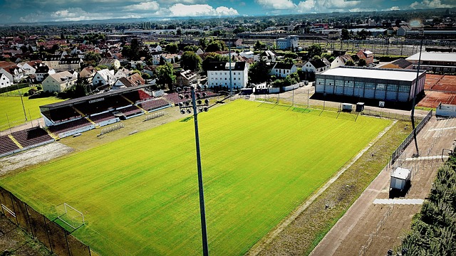 爱德华兹 爱德华兹