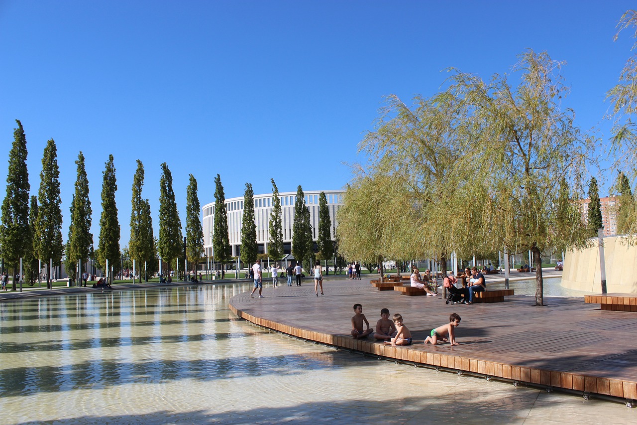 在国际文化 在国际文化