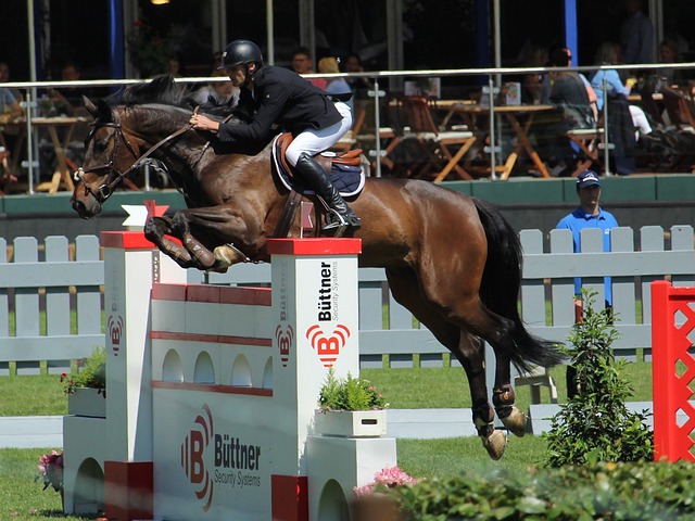 对类似的情 对类似的情