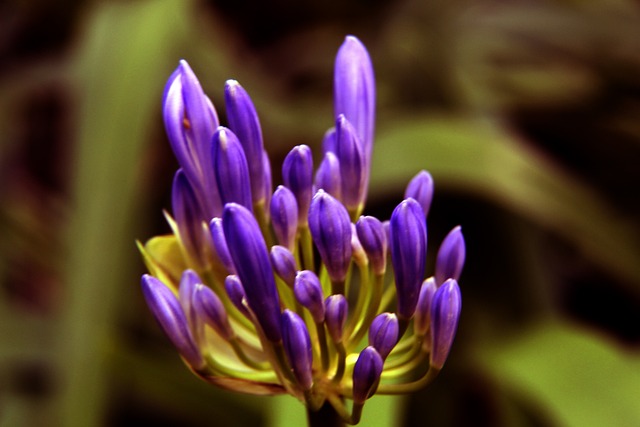 贵重物品悉 贵重物品悉